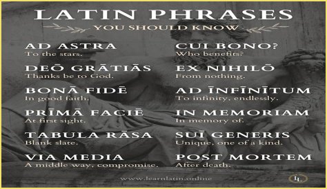 A Profile Of A Latin Beauty